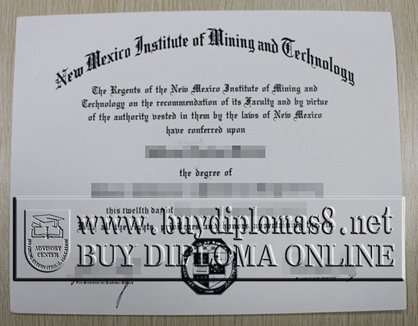 New Mexico Institute of Mining and Technology degree sample