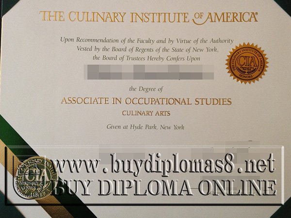CIA diploma, CIA degree