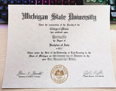 Michigan State University Fake Id