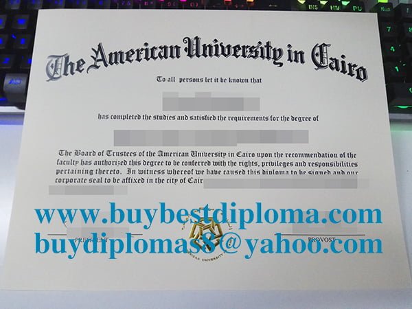 American University in Cairo diploma, AUC diploma