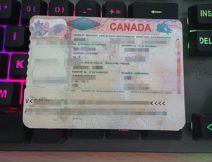 fake canada visa, canada visa sticker