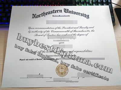northeastern diploma