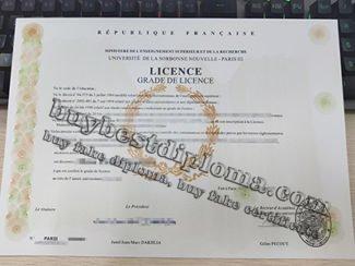 Paris III licence, Université De La Sorbonne Nouvelle diploma,