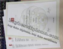 fake Temasek Polytechnic degree, fake Temasek Polytechnic transcript,