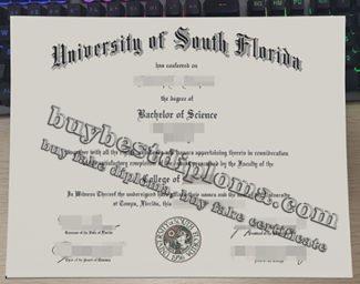 University of South Florida diploma, fake USF diploma,