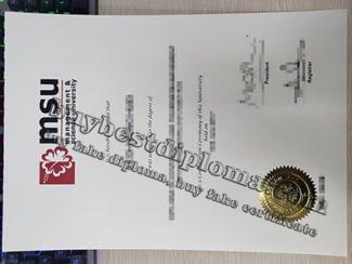 fake MSU diploma, Management & Science University degree,