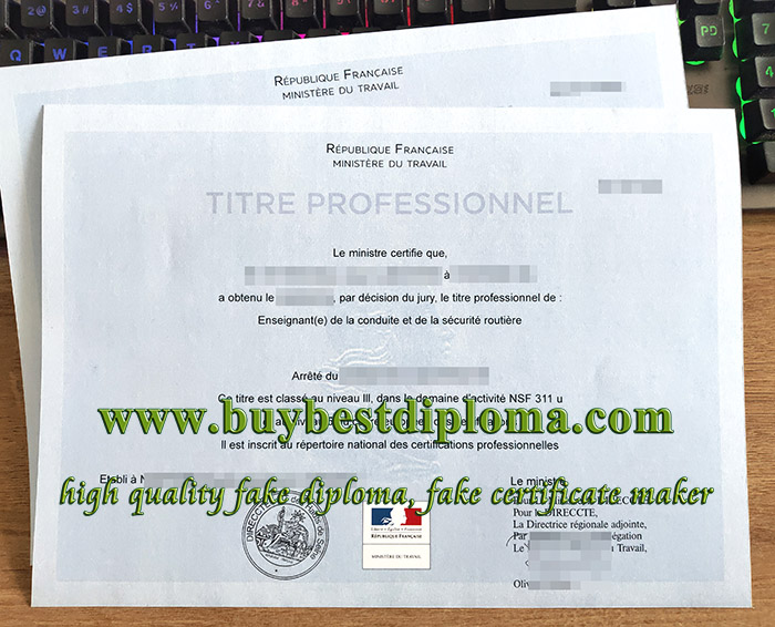titre professionnel certificate, titre professionnel diploma, fake France certificate,