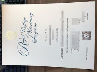 fake Royal College Of Veterinary Surgeons certificate, fake RCVS certificate,