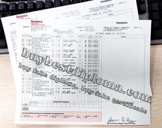 Seneca College transcript, Seneca College diploma, fake Seneca College certificate,