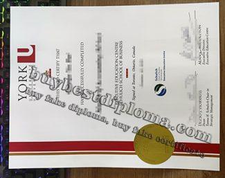 fake Schulich School of Business diploma, fake York University certificate, fake master diploma