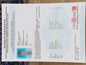 unified examination certificate, fake UEC certificate, 华文独考证书,