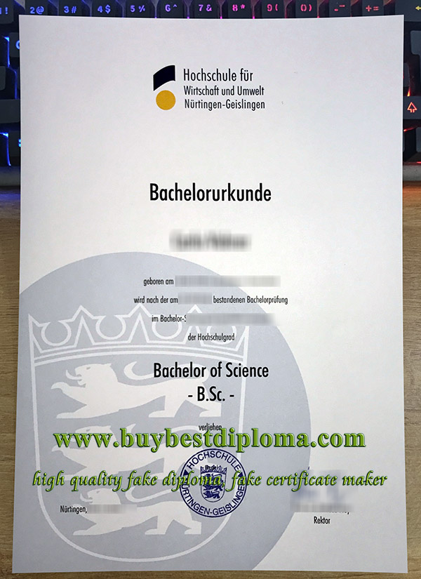 HfWU Hochschule certificate, fake HfWU urkunde, University of Nürtingen-Geislingen diploma,