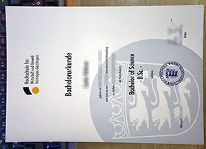 HfWU Hochschule certificate, fake HfWU urkunde, University of Nürtingen-Geislingen diploma,