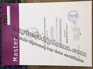 Christian-Albrechts-Universität zu Kiel urkunde, fake Kiel University diploma, Christian-Albrechts-Universität zu Kiel degree,