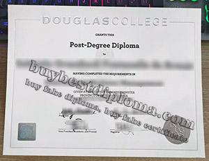 道格拉斯学院新版毕业证, Douglas College diploma, new Douglas College certificate, Douglas College degree,