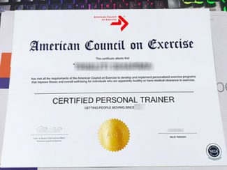 fake Personal Trainer Certification, ACE certificate, ACE CPT certificate,