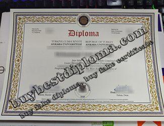 Ankara University degree