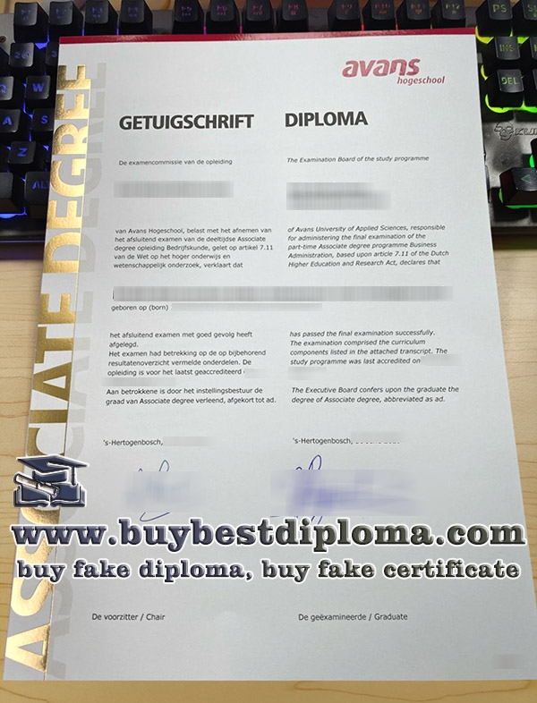 AVANS Hogeschool diploma, fake AVANS University of Applied Sciences degree,