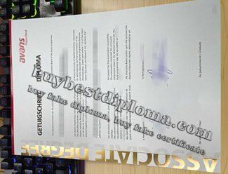 AVANS Hogeschool diploma, fake AVANS University of Applied Sciences degree,