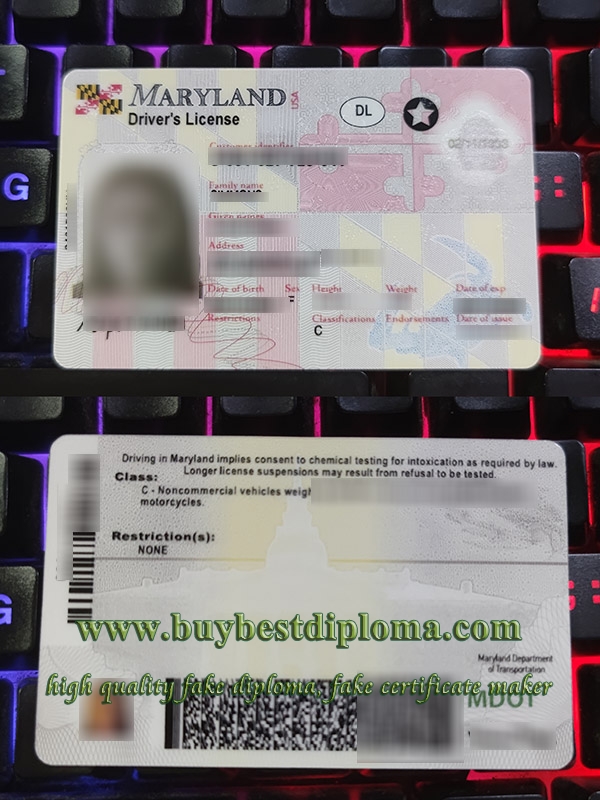 Maryland driver's license, Maryland driver license, fake Maryland driving card, fake USA driver license,