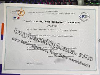 DALF C1 diploma, fake DALF C1 certificate,