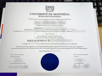 Polytechnique Montréal baccalaureat diploma, Université de Montréal diploma,