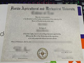 Florida Agricultural and Mechanical University degree, Florida A&M University diploma,