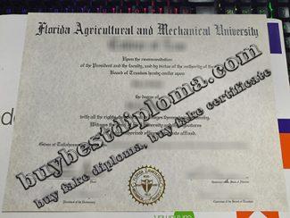 Florida Agricultural and Mechanical University degree, Florida A&M University diploma,