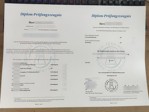 HFH Hamburger transcript, Hamburger Fern-Hochschule zeugnis, Hamburger Fern-Hochschule transctript, Hamburger Fern-Hochschule certificate,