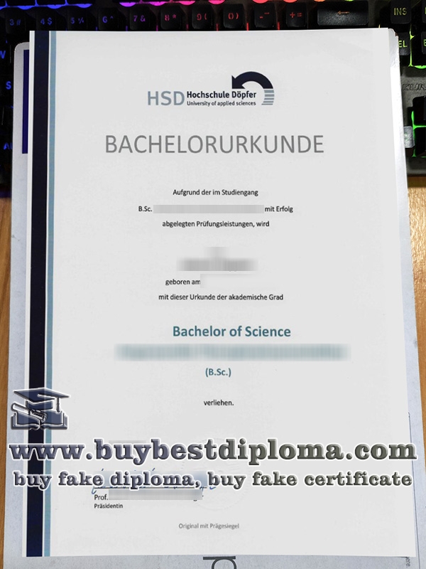 HSD Hochschule Döpfer urkunde, HSD Hochschule Döpfer certificate,