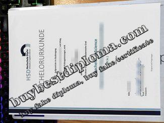 HSD Hochschule Döpfer urkunde, HSD Hochschule Döpfer certificate,