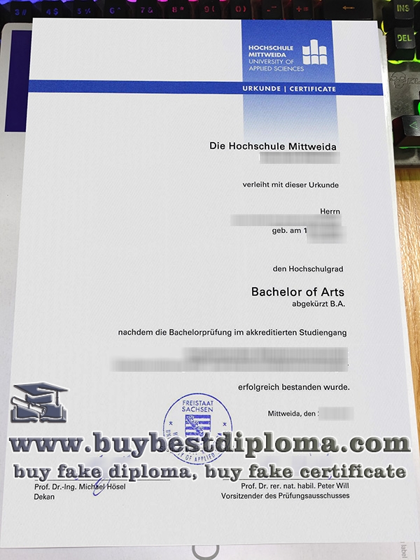 Hochschule Mittweida degree, Hochschule Mittweida diploma,