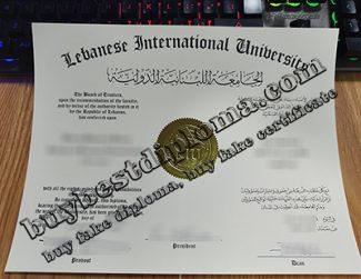 Lebanese International University degree