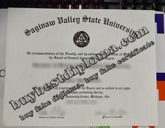 SVSU degree