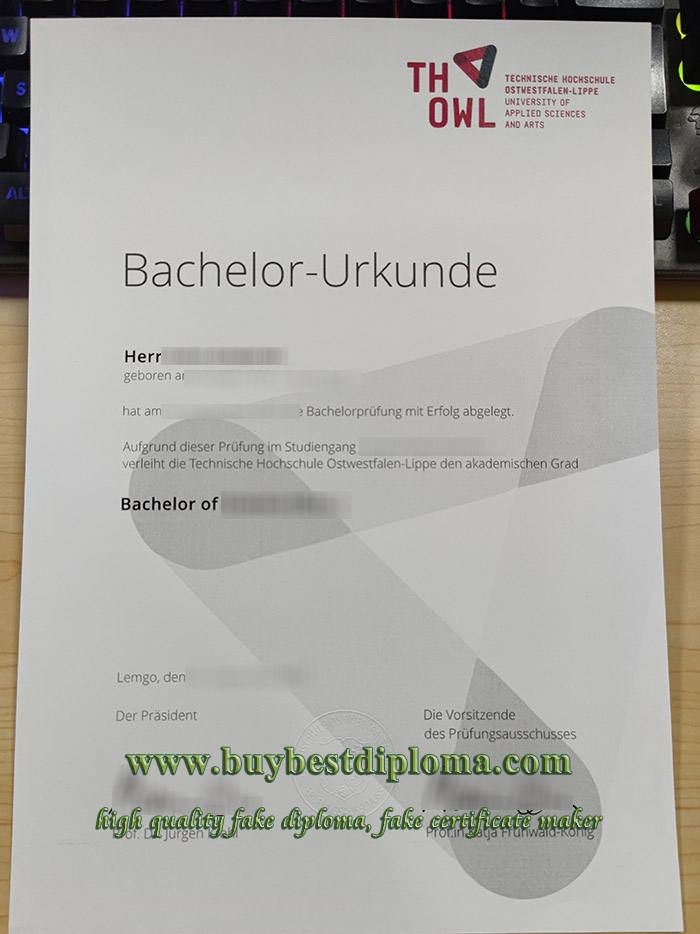Technische Hochschule Ostwestfalen-Lippe diploma