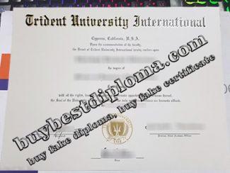 Trident University International diploma, Trident University International degree,