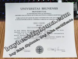 Universitas Brunensis diploma, Brown University degree,