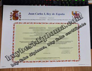 Universidad Miguel Hernández certificate