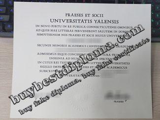 Yale University fake diploma, Yale University certificate,