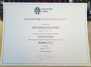 Universiteit Leiden getuigschrift, Universiteit Leiden degree, University of Leiden diploma,