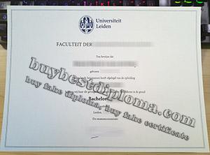 Universiteit Leiden getuigschrift, Universiteit Leiden degree, University of Leiden diploma,