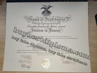 Georgetown University diploma, Universitas Georgiopolitana diploma,